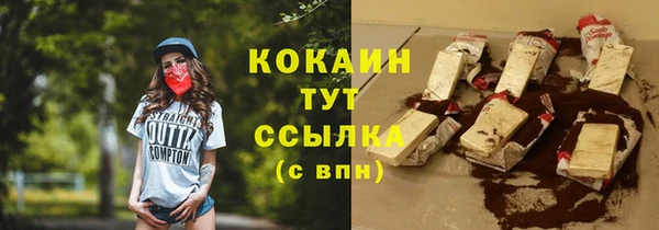ГАЛЛЮЦИНОГЕННЫЕ ГРИБЫ Богданович
