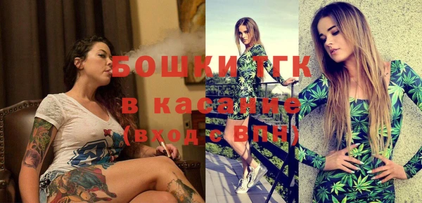 ГАЛЛЮЦИНОГЕННЫЕ ГРИБЫ Богданович
