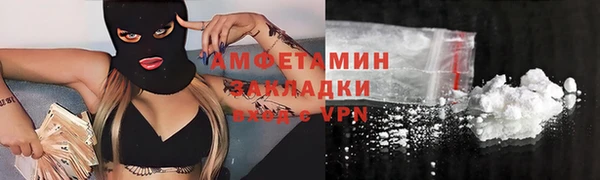 ГАЛЛЮЦИНОГЕННЫЕ ГРИБЫ Богданович
