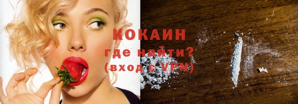 ГАЛЛЮЦИНОГЕННЫЕ ГРИБЫ Богданович