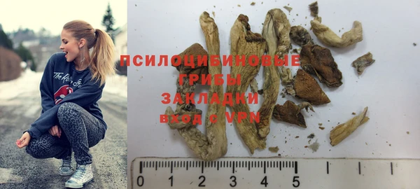 дживик Богородск
